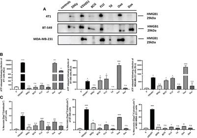 Heterologous prime-boost cellular vaccination induces potent antitumor immunity against triple negative breast cancer